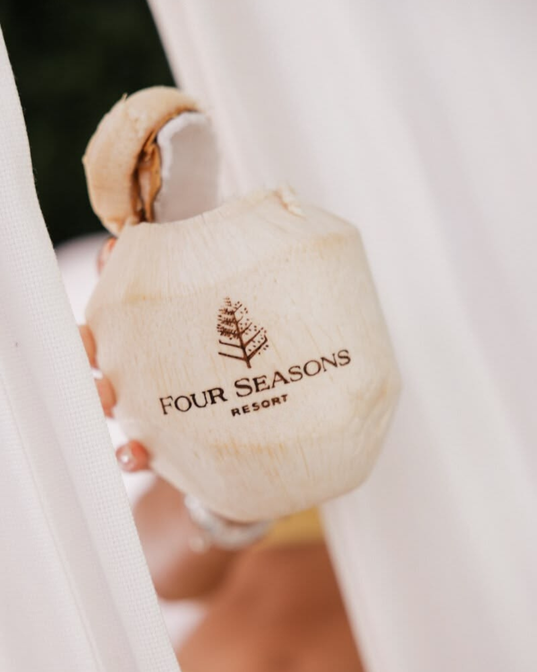 Fresh coconuts for hotels