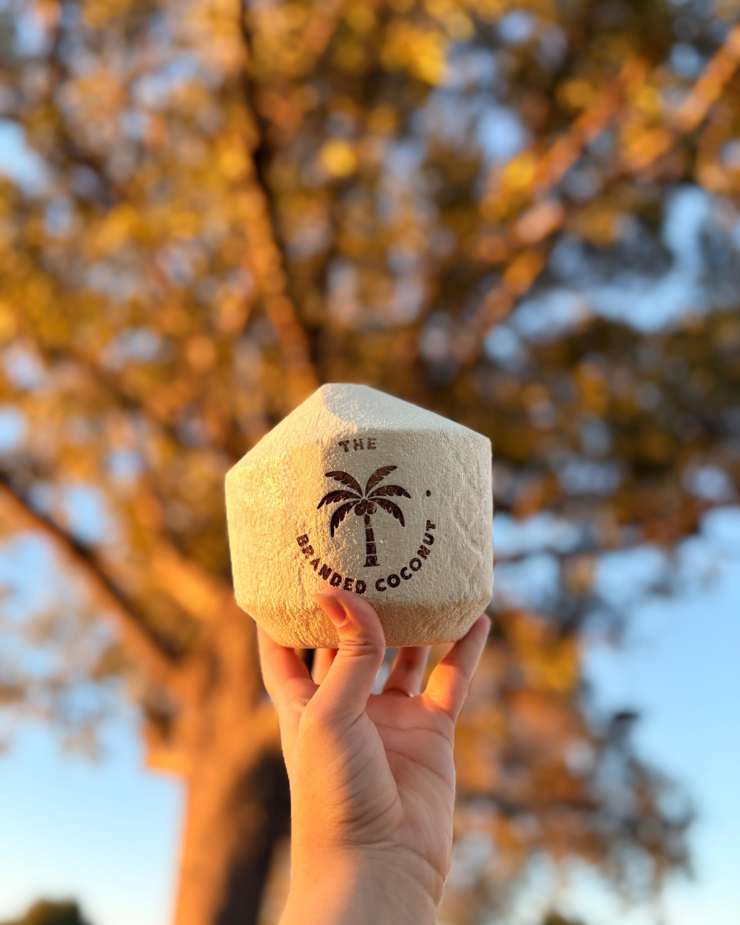 The Branded Coconut